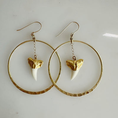 Shark Tooth Gold Hoop Dangle Earrings