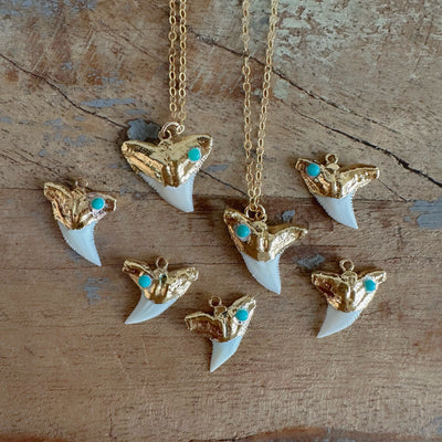 Turquoise Shark Tooth Gold