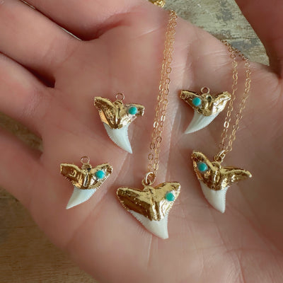 Turquoise Shark Tooth Gold