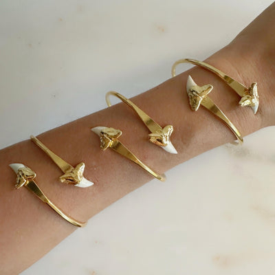 Shark Tooth Cuff Bracelet