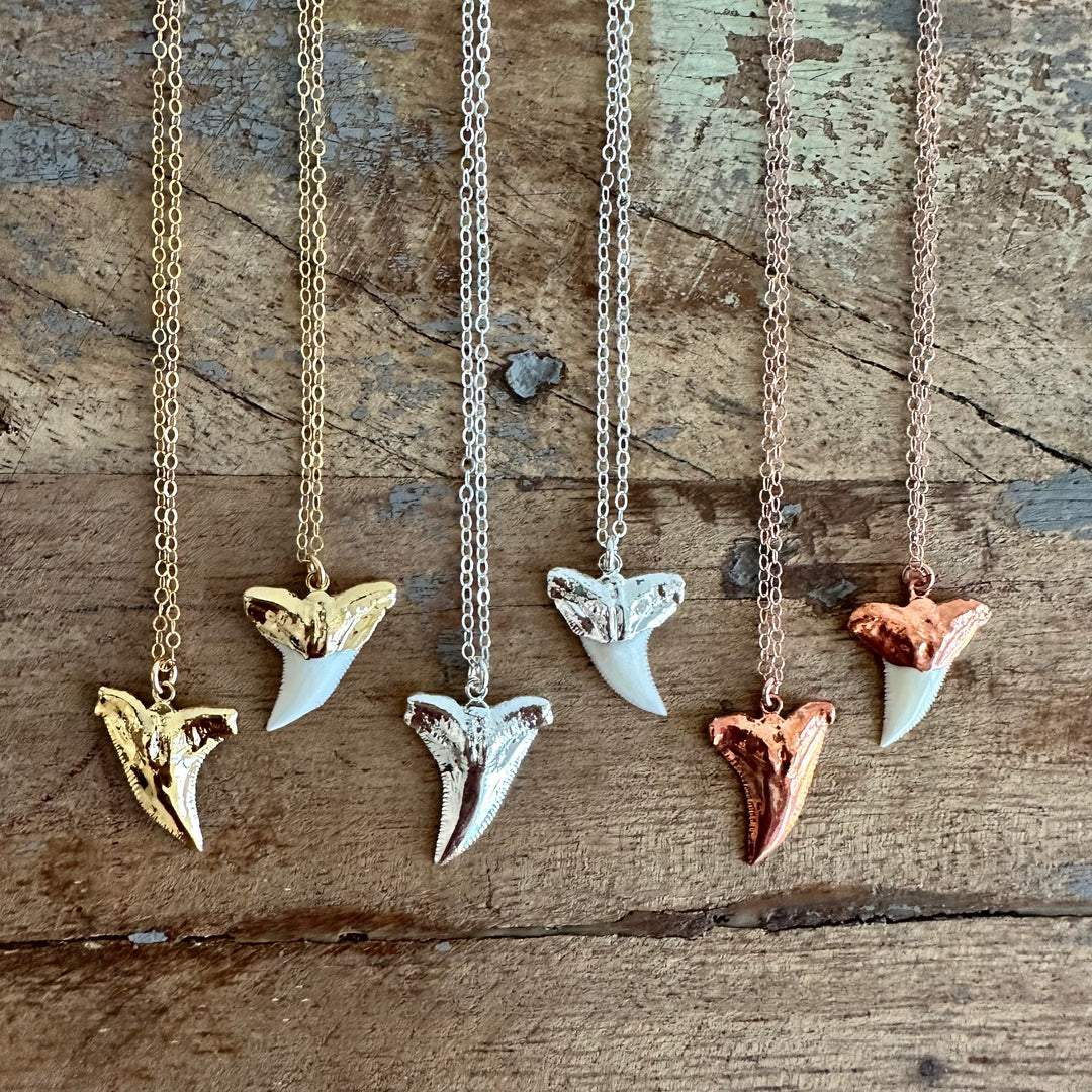 Shark Tooth Necklace – WildSolstice - Main Image