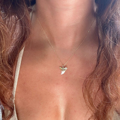 Shark Tooth Necklace